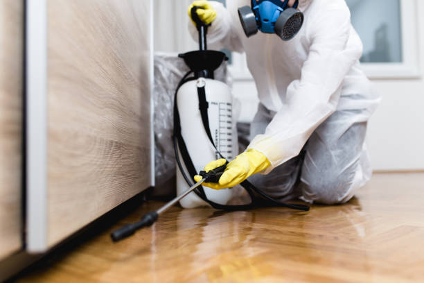 Best Bed Bug Extermination  in Mclendon Chisholm, TX