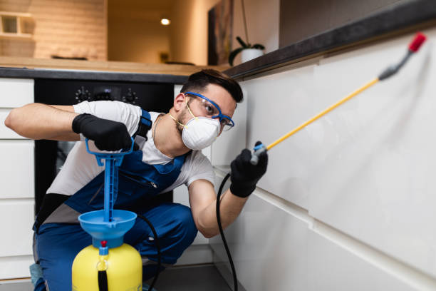 Best Best Pest Control Companies  in Mclendon Chisholm, TX