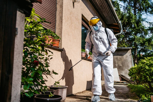 Best Bed Bug Extermination  in Mclendon Chisholm, TX
