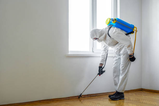 Best Pest Prevention Services  in Mclendon Chisholm, TX