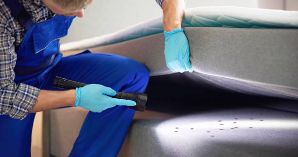 Best Affordable Pest Control Services  in Mclendon Chisholm, TX