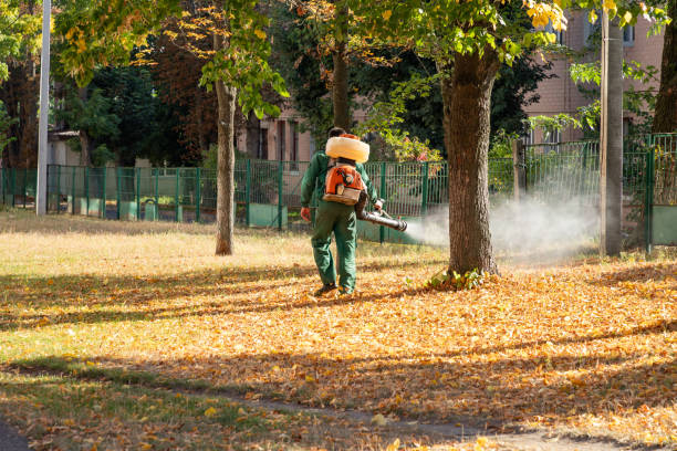Best Rodent Control Near Me  in Mclendon Chisholm, TX