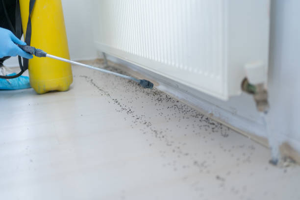 Best Pest Inspection Near Me  in Mclendon Chisholm, TX