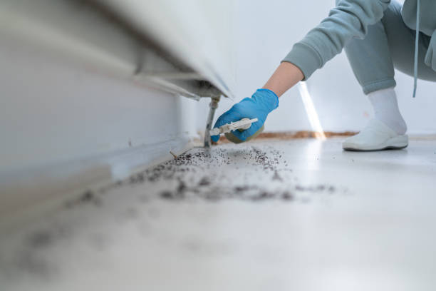 Best Emergency Pest Control  in Mclendon Chisholm, TX